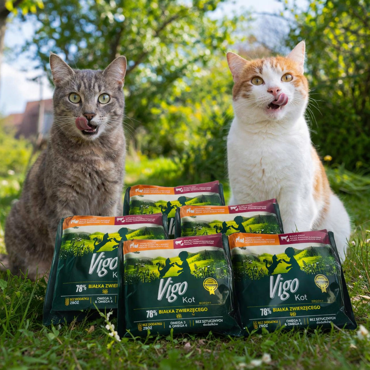 Vigo Karma mokra dla kota w saszetkach 36x85 g, bezzbożowa, w sosie – mix smaków