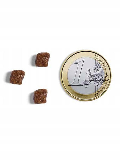 Ambrosia sucha karma dla kota 1,5 kg bezzbożowa z probiotykiem – świeży indyk i kurczak