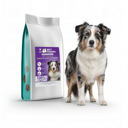 Best Friends Gastrointestinal sucha karma dla psa lekkostrawna 1,5 kg – hipoalergiczna, indyk