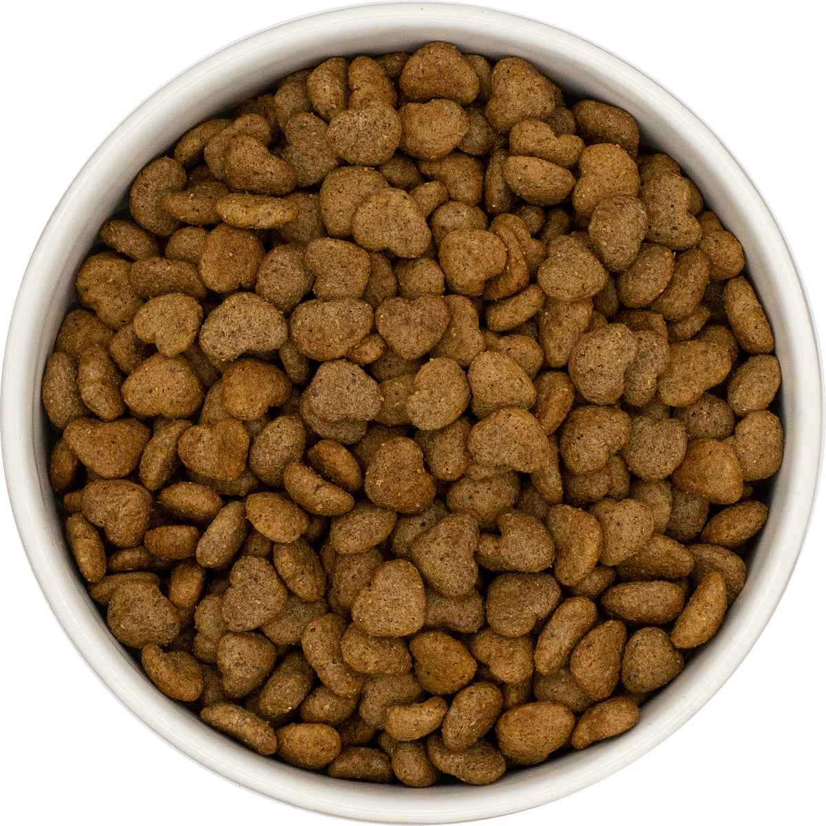 Best Friends sucha karma dla psa z nadwagą 1,5 kg bezzbożowa, na stawy – ryba