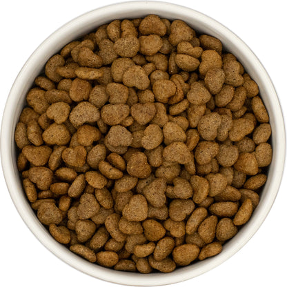 Best Friends sucha karma dla psa z nadwagą 1,5 kg bezzbożowa, na stawy – ryba