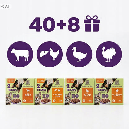 2 FRIENDS Karma mokra dla kota 48 x 85 g – mix 4 smaków w saszetkach, bez cukru, 4,08 kg