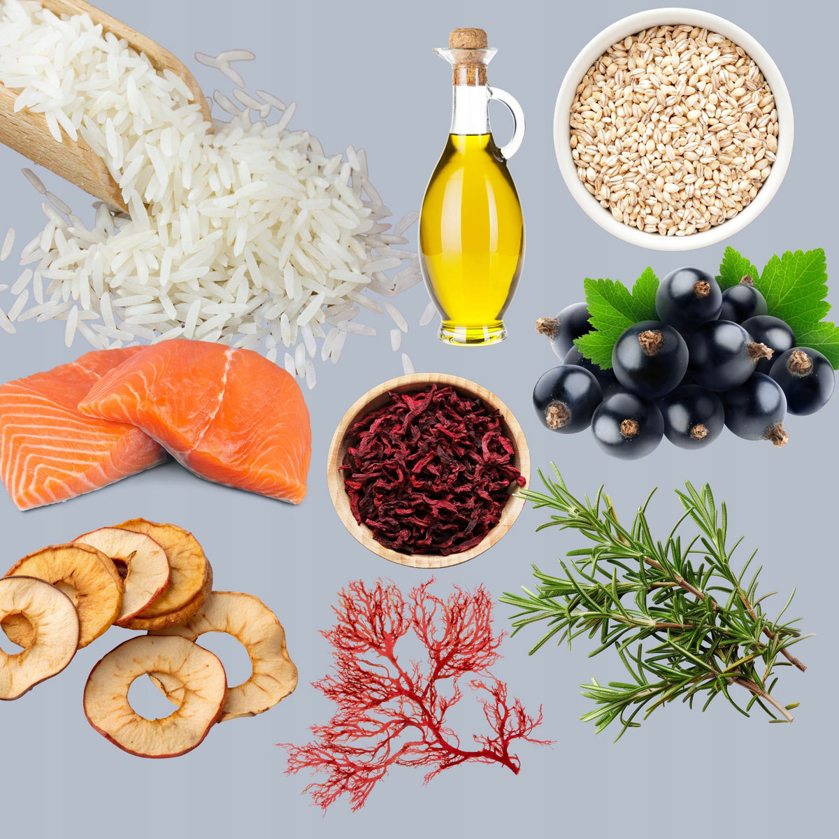 APL Gastro-Intestinal karma sucha dla psa 2 kg – dieta weterynaryjna, bezzbożowa, łosoś