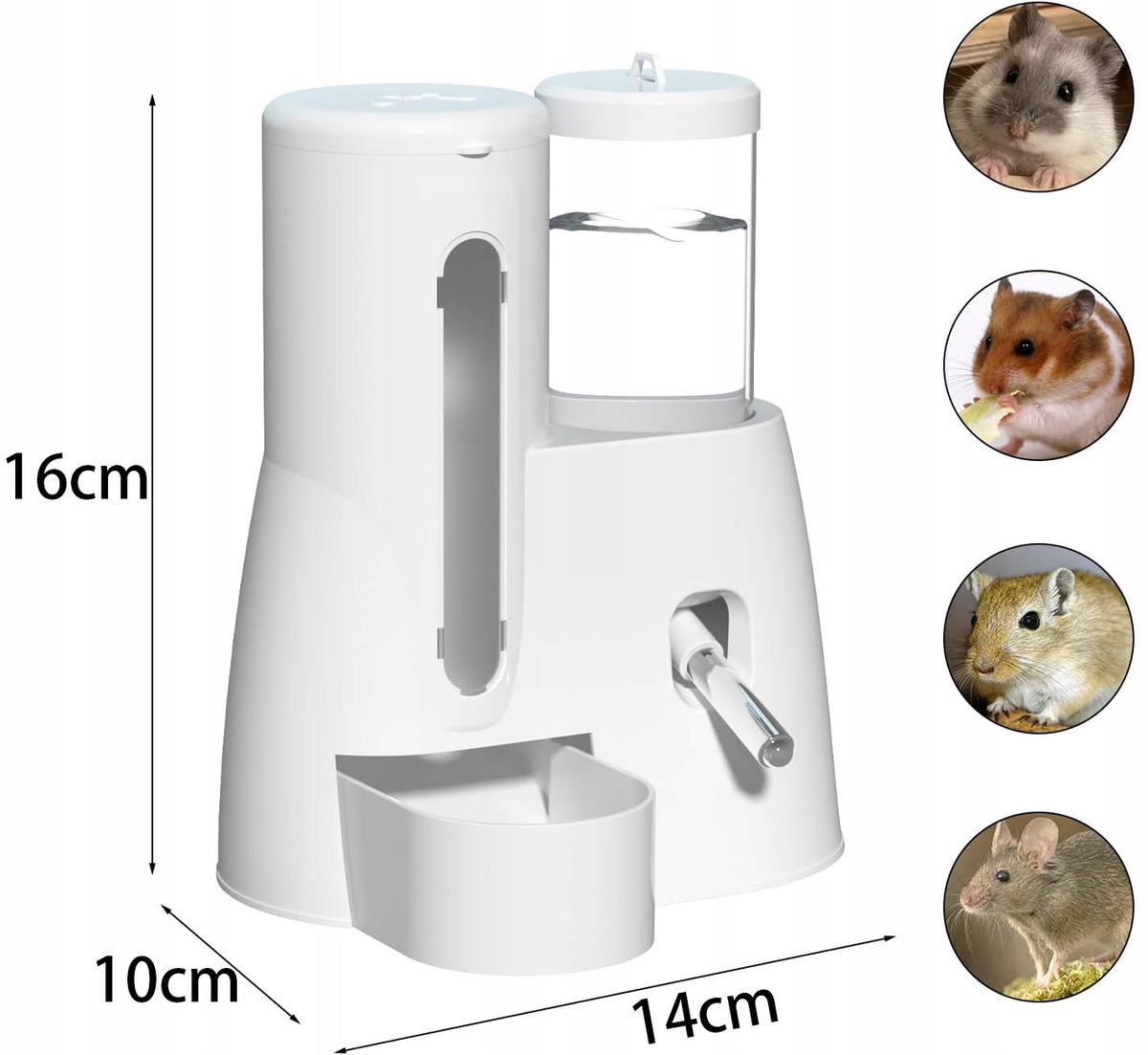 Karmnik i poidło 2w1 dla chomika i gryzoni 80 ml i 300 ml, automatyczne, doklatkowe – białe