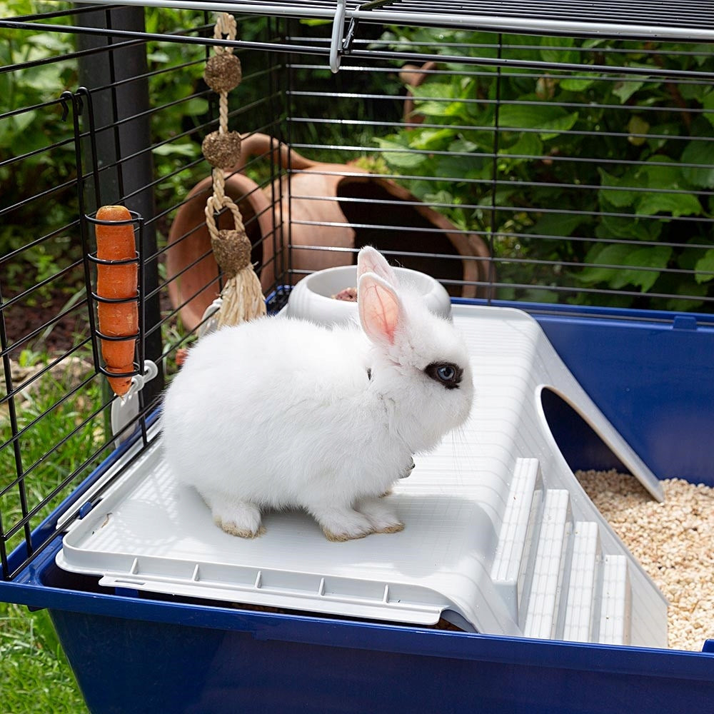 Ferplast Rabbit 120 klatka dla królika i świnki morskiej z wyposażeniem 118 x 58,5 cm