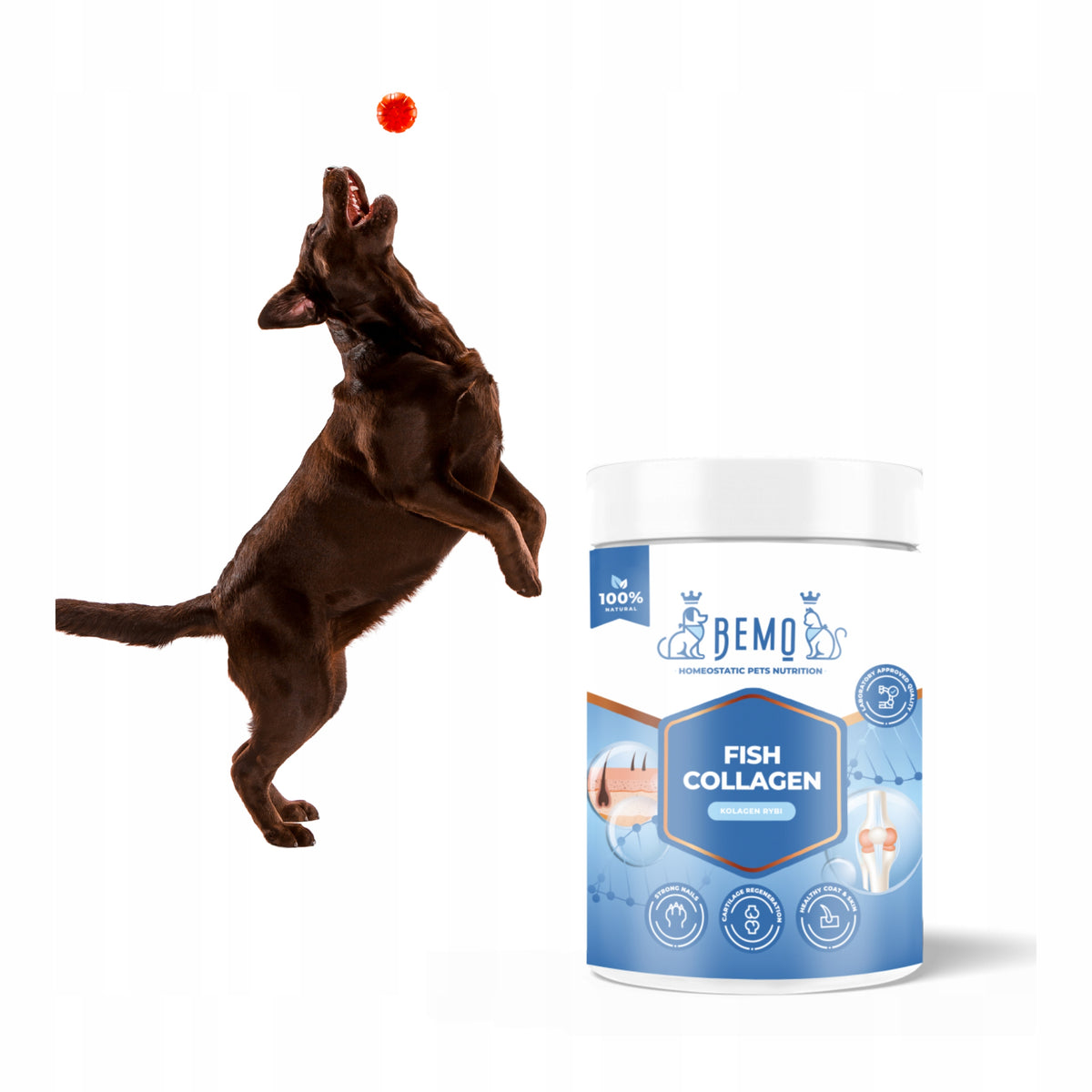 Bemo Fish Collagen kolagen dla psa 130 g – hydrolizowany kolagen rybi w proszku