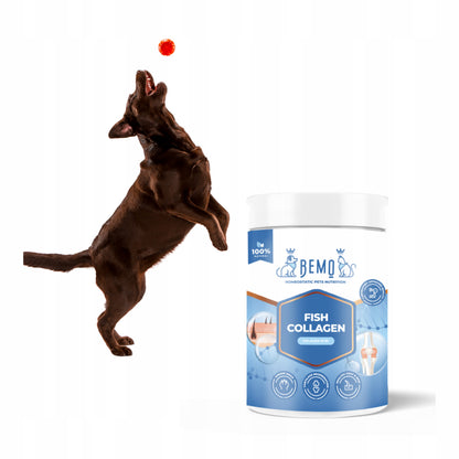 Bemo Fish Collagen kolagen dla psa 130 g – hydrolizowany kolagen rybi w proszku