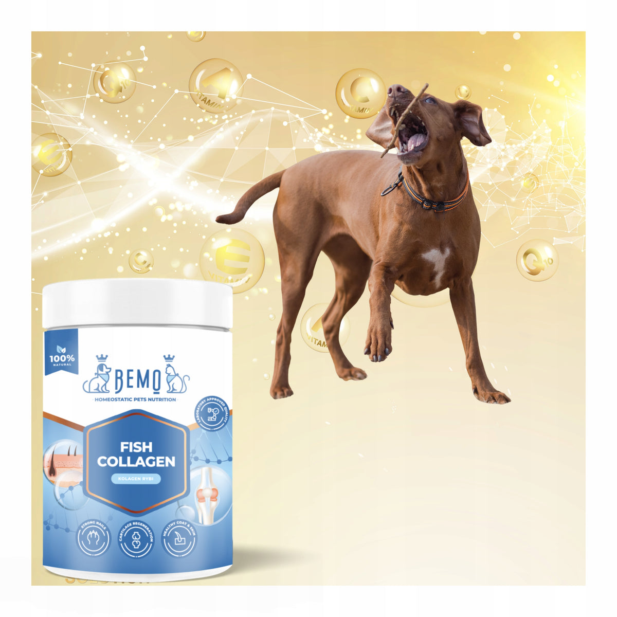 Bemo Fish Collagen kolagen dla psa 130 g – hydrolizowany kolagen rybi w proszku