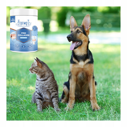 Bemo Fish Collagen kolagen dla psa 130 g – hydrolizowany kolagen rybi w proszku