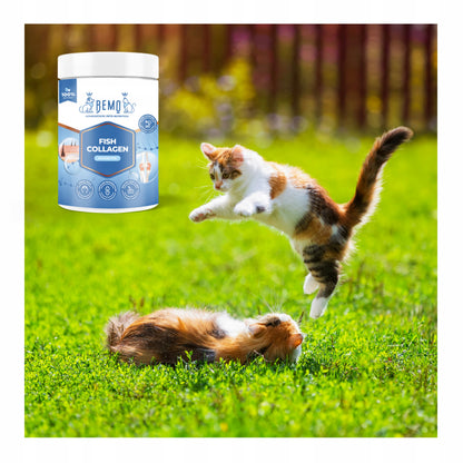 Bemo Fish Collagen kolagen dla psa 130 g – hydrolizowany kolagen rybi w proszku
