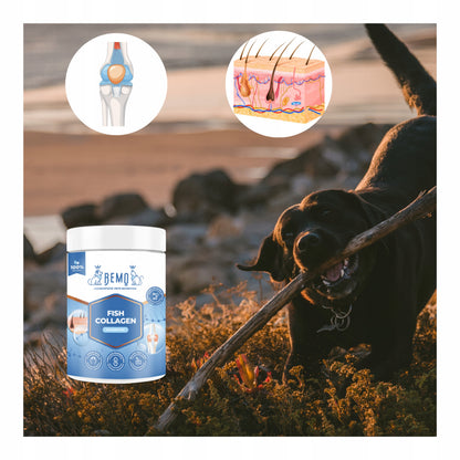 Bemo Fish Collagen kolagen dla psa 130 g – hydrolizowany kolagen rybi w proszku