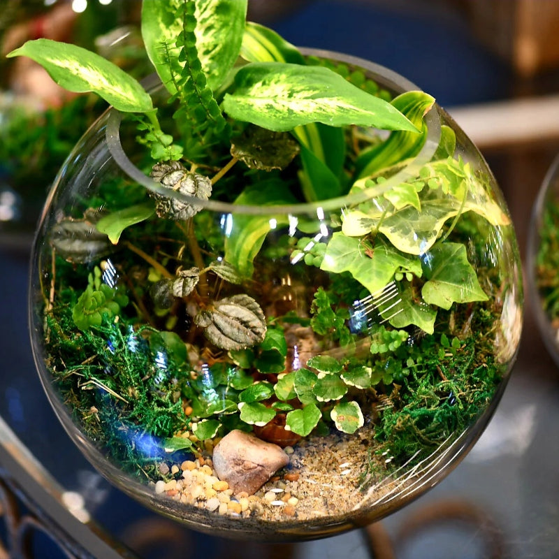 INVITAL Kula akwariowa 28 cm 11 l ze szkła ręcznie dmuchanego – do krewetek i mossarium