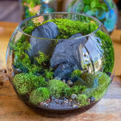 INVITAL Kula akwariowa 28 cm 11 l ze szkła ręcznie dmuchanego – do krewetek i mossarium