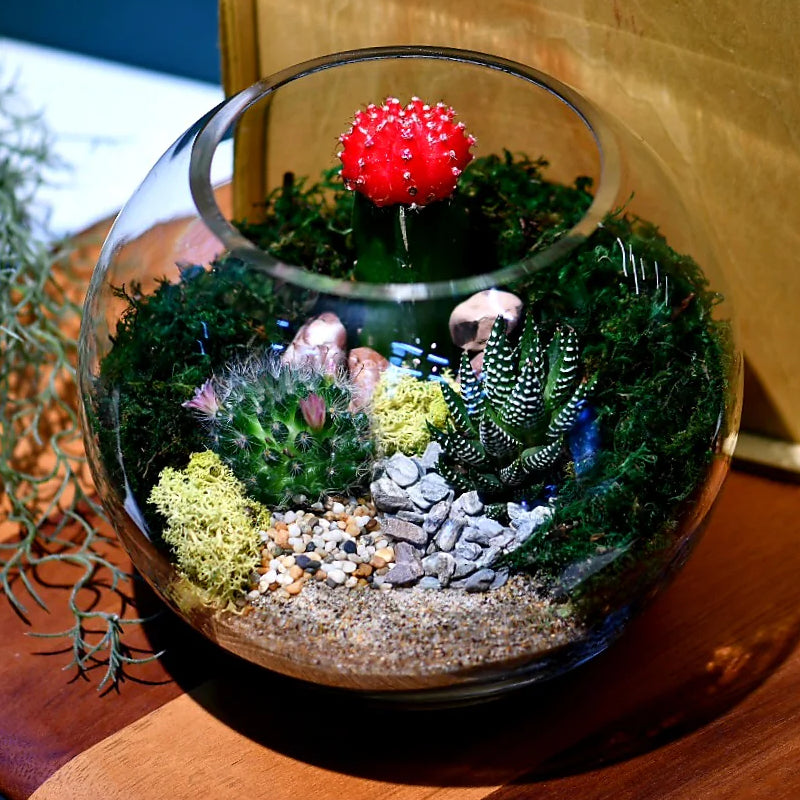 INVITAL Kula akwariowa 28 cm 11 l ze szkła ręcznie dmuchanego – do krewetek i mossarium