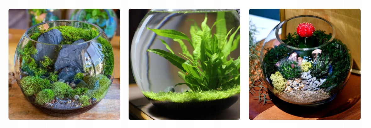 INVITAL Kula akwariowa 28 cm 11 l ze szkła ręcznie dmuchanego – do krewetek i mossarium