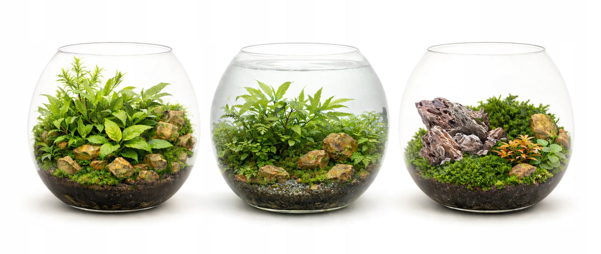 INVITAL Kula akwariowa 28 cm 11 l ze szkła ręcznie dmuchanego – do krewetek i mossarium