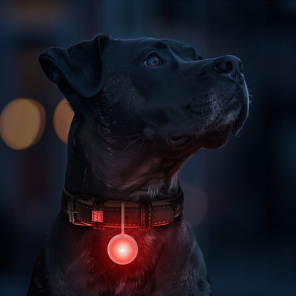 Waudog Świecąca latarka LED dla psa 37 mm, silikonowa, ładowanie USB-C, IP54 – wielokolorowa