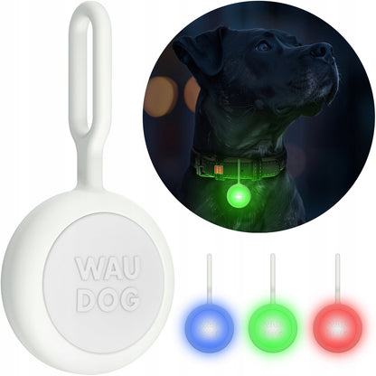 Waudog Świecąca latarka LED dla psa 37 mm, silikonowa, ładowanie USB-C, IP54 – wielokolorowa