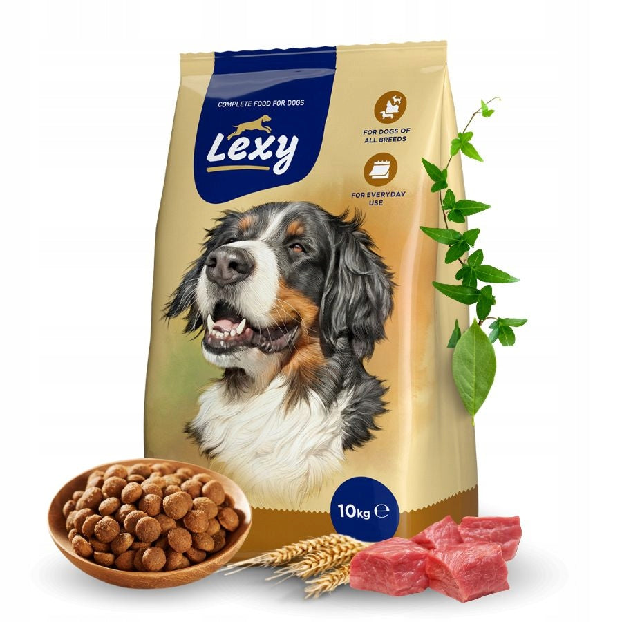 LEXY sucha karma dla psów aktywnych 10 kg – pełnoporcjowa, dla dorosłych psów dużych ras