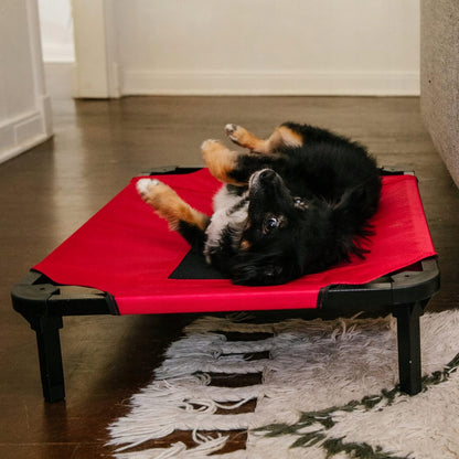 Lucky Dog Legowisko dla psa na stelażu 117 x 74 cm do 55 kg, wodoodporne – czerwone