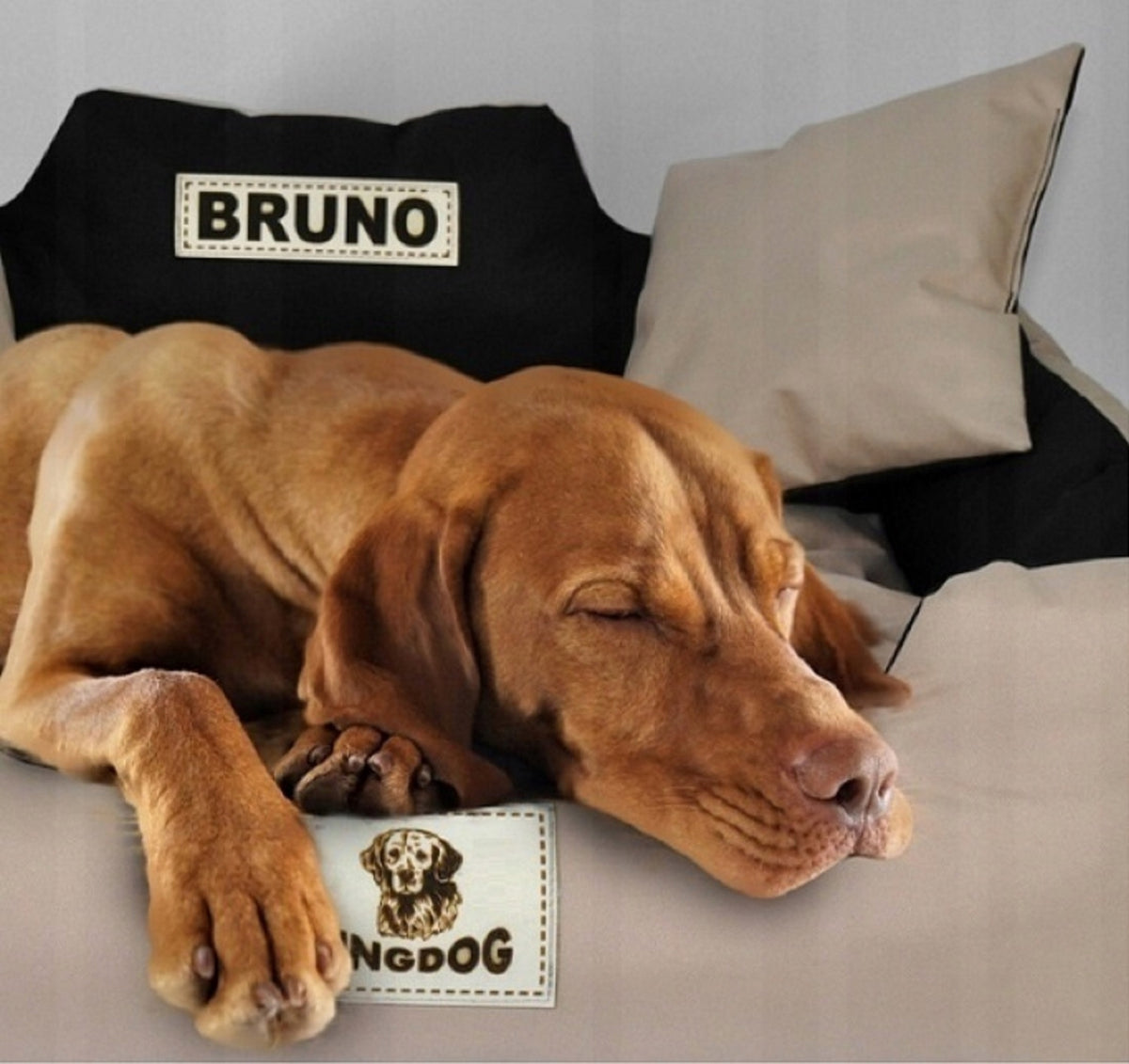 King Dog Legowisko dla psa 115 x 95 cm wodoodporne z imieniem pupila, rozmiar XL – czarne