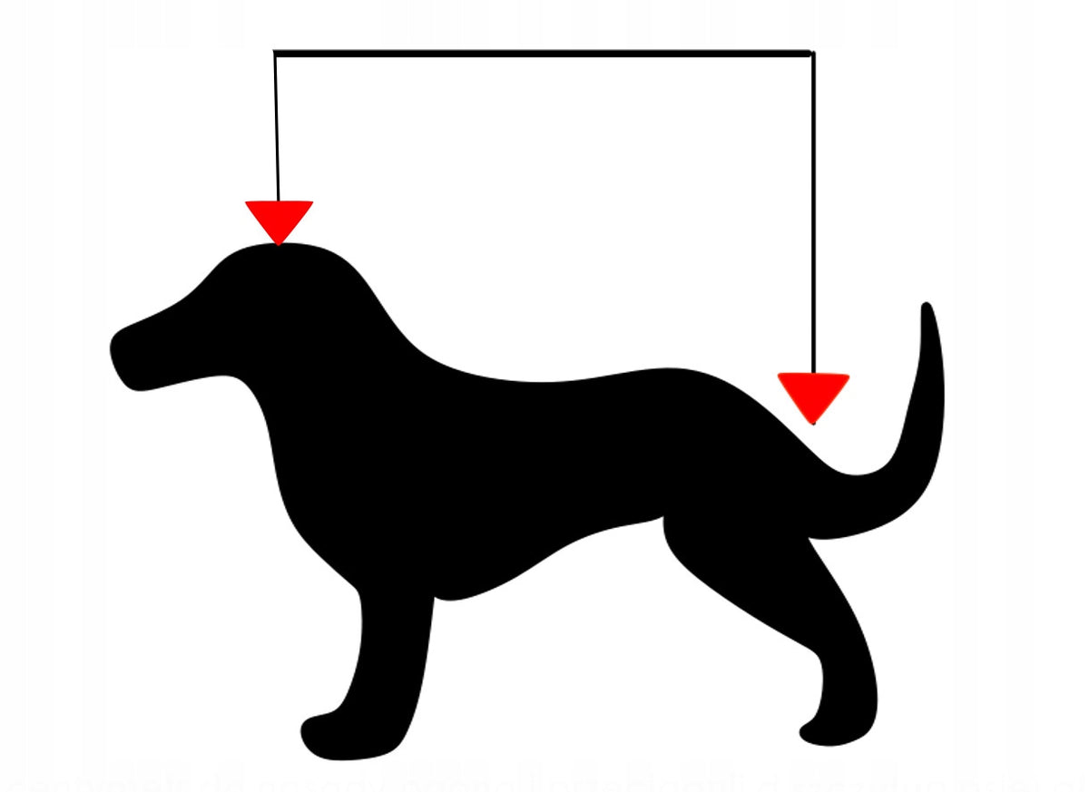 LOVEDOG Legowisko ortopedyczne dla psa OrtoMax M 70x55 cm, wodoodporne, z burtami – wielokolorowe