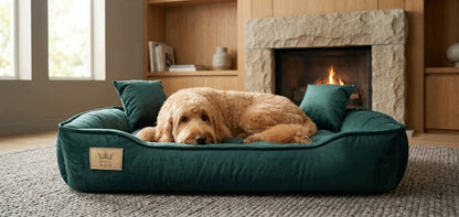 ROYAL DOG Legowisko dla psa i kota welurowe 75 x 65 cm z dwiema poduszkami – zielone