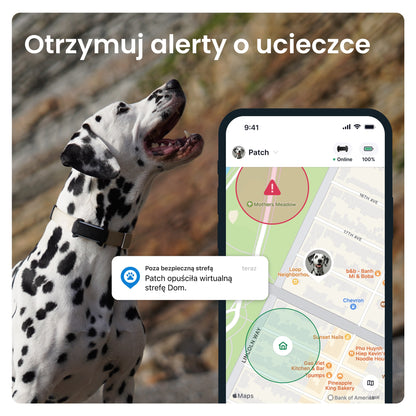 Tractive Lokalizator GPS dla psa GPS & Health Dog 6 z monitoringiem aktywności – czarny