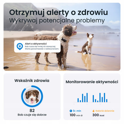 Tractive Lokalizator GPS dla psa GPS & Health Dog 6 z monitoringiem aktywności – czarny