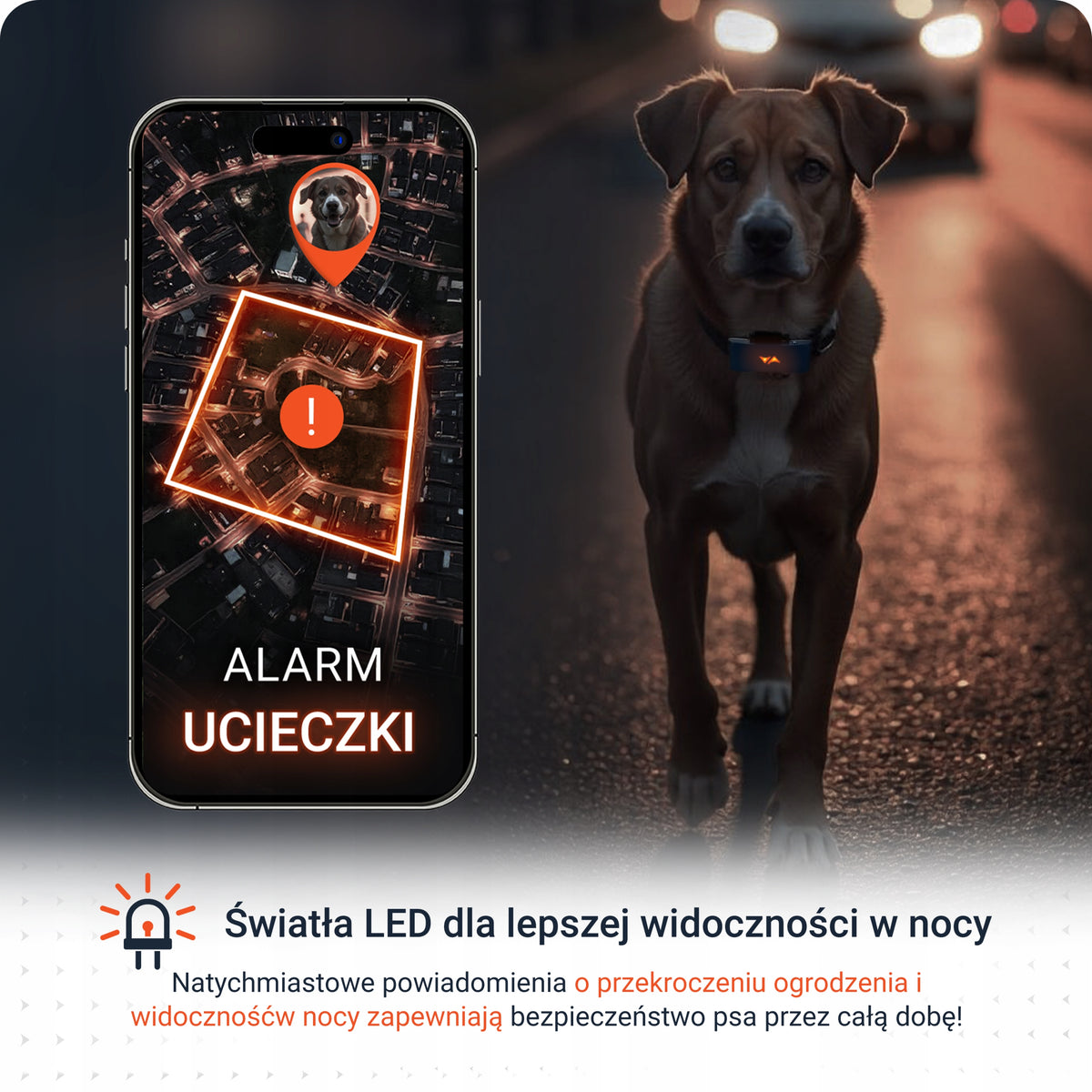 PAJ GPS Pet Finder 4G lokalizator GPS dla psa na obrożę, wodoodporny IP67 – niebieski
