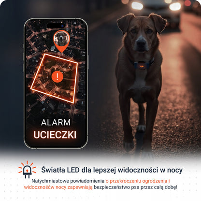PAJ GPS Pet Finder 4G lokalizator GPS dla psa na obrożę, wodoodporny IP67 – niebieski