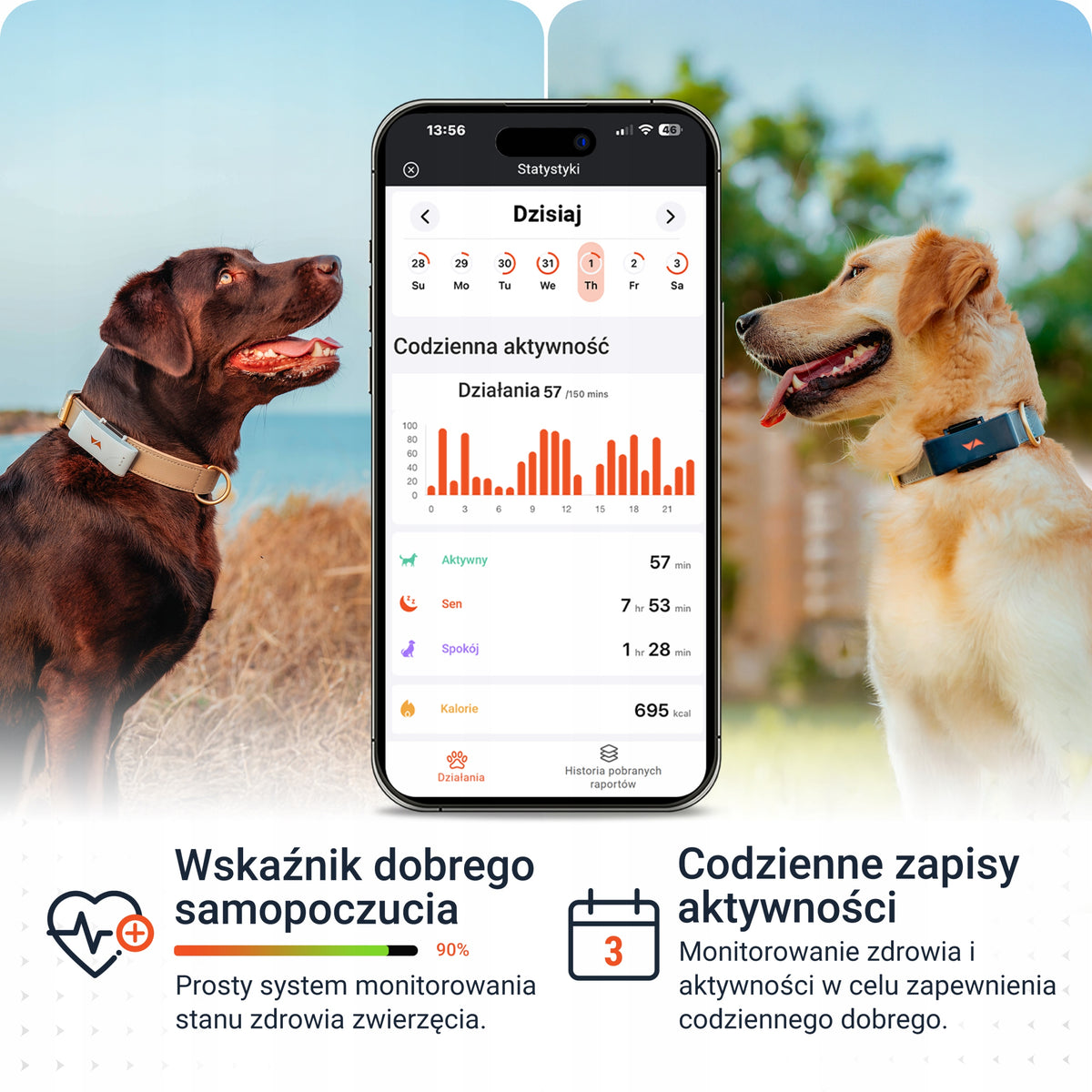 PAJ GPS Pet Finder 4G lokalizator GPS dla psa na obrożę, wodoodporny IP67 – niebieski