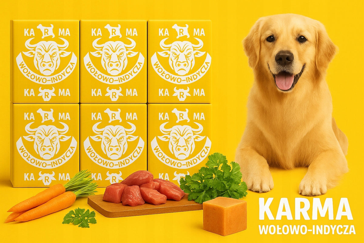 Mrożone mięso dla psa BARF 10 kg – wołowina i indyk z kością, 40 kostek po 250 g