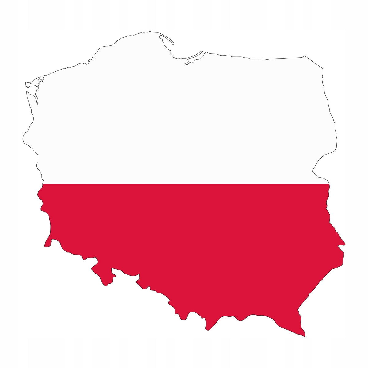 Mrożone mięso dla psa BARF 10 kg – wołowina i indyk z kością, 40 kostek po 250 g