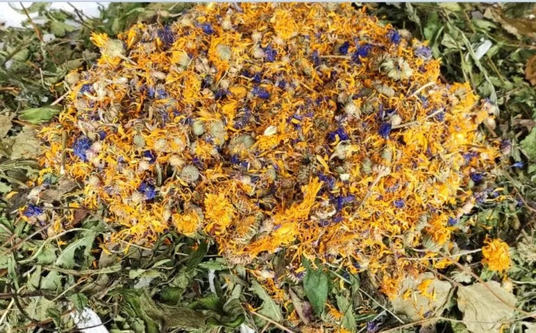 Mieszanka ziołowa dla królika 1 kg – bezzbożowa karma bez cukru, naturalne zioła