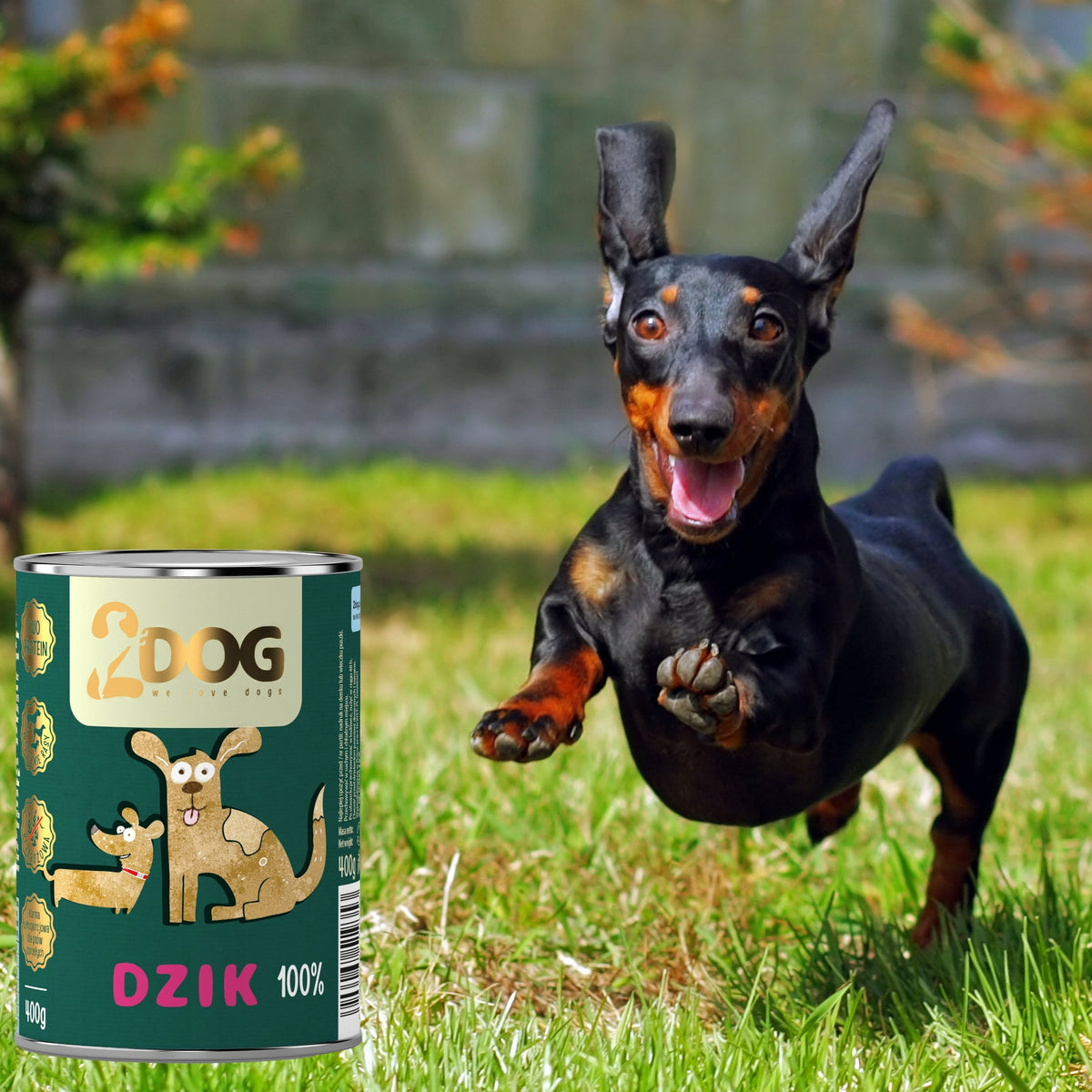 2DOG Mokra karma dla psa z dzikiem 400 g – monoproteinowa, bezzbożowa, hipoalergiczna