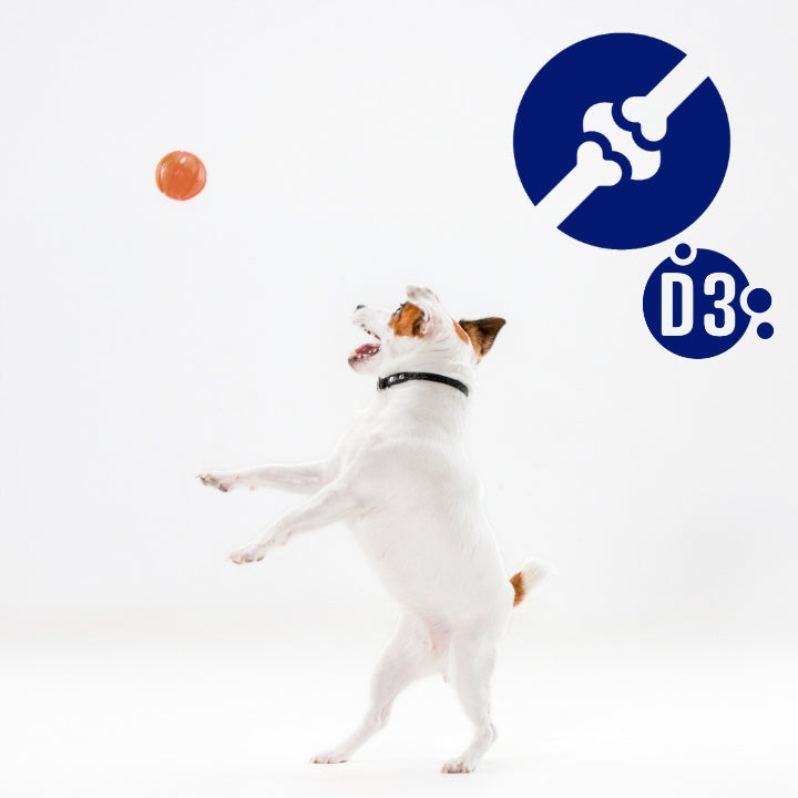 Optivital mokra karma dla psa z jagnięciną i wątróbką w sosie – puszka 6 x 1250 g