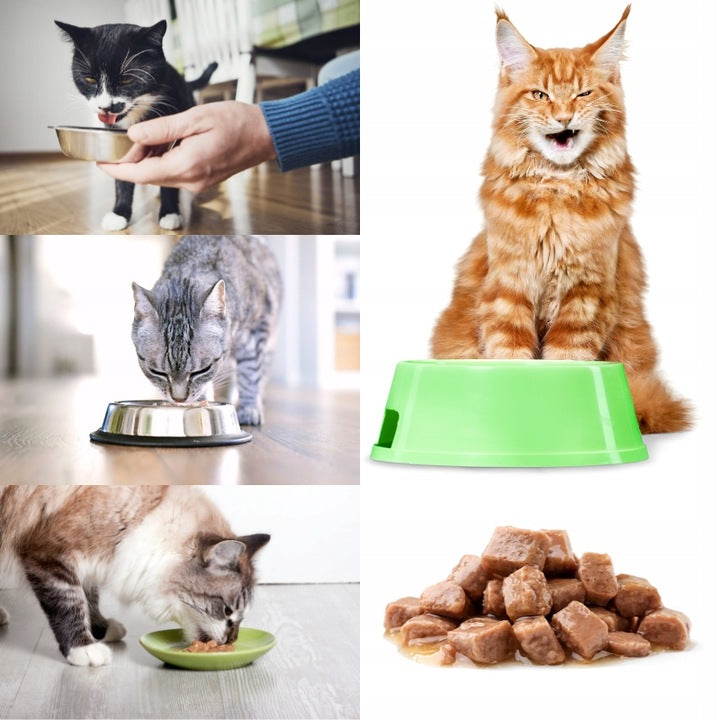 Bozita mokra karma dla kota w sosie 12 x 85 g – bezzbożowa, mix smaków renifer i kurczak