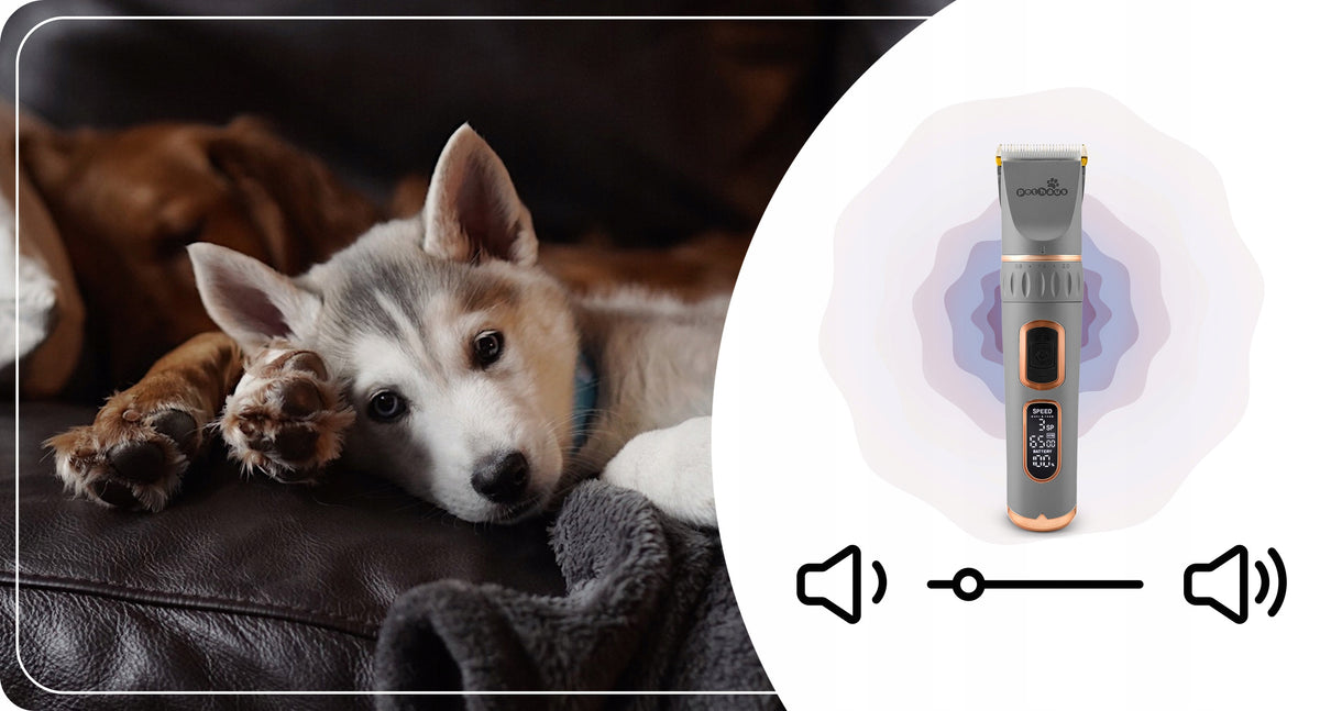 Pethaus Maszynka do strzyżenia psów i kotów PH-100 bezprzewodowa, LCD, 4 nasadki – szara