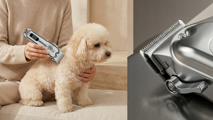 Wobell Maszynka do strzyżenia psa i kota bezprzewodowa, cicha, 2000 mAh – metalowa