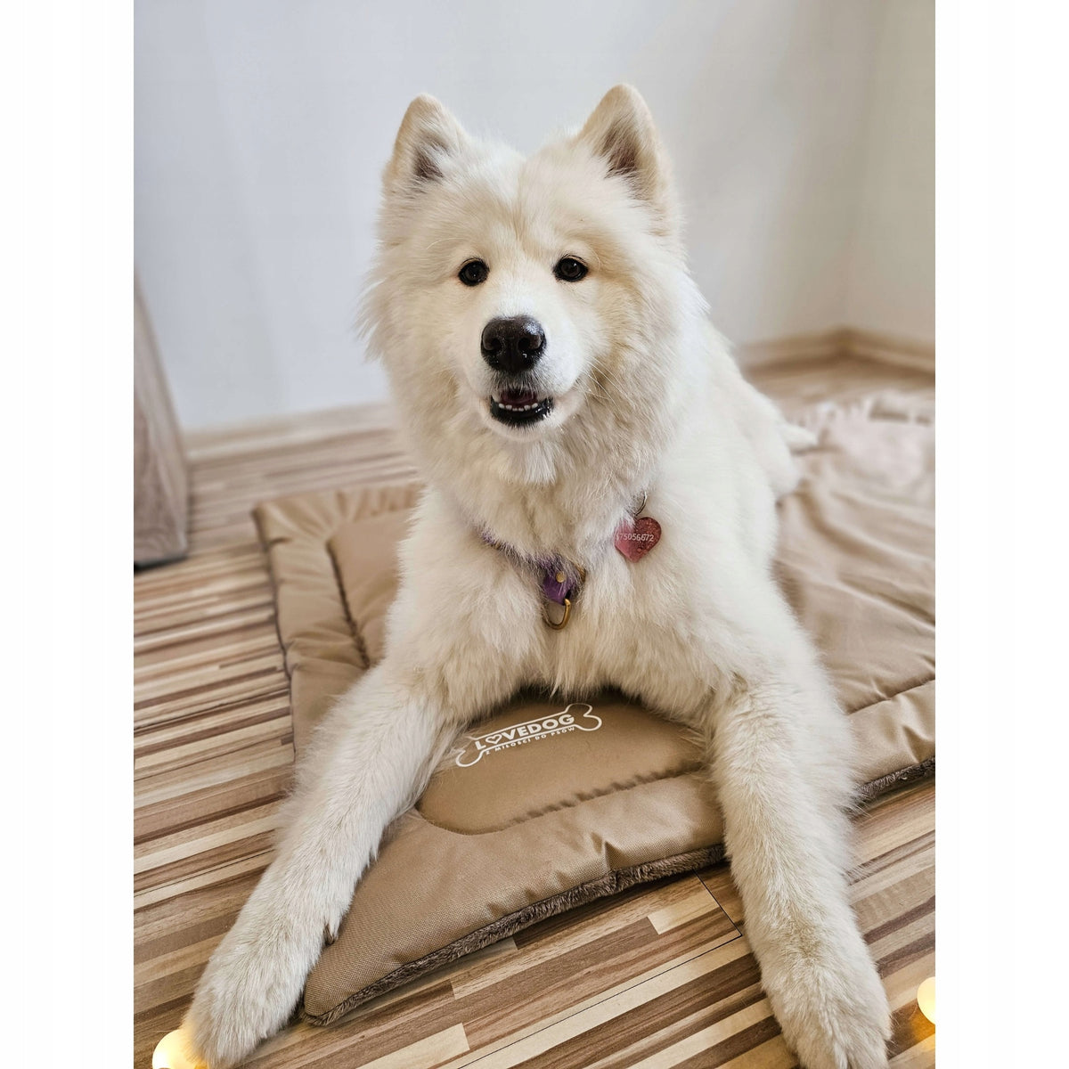Lovedog mata dla psa 90 x 60 cm do klatki i samochodu, rozmiar M – beżowa
