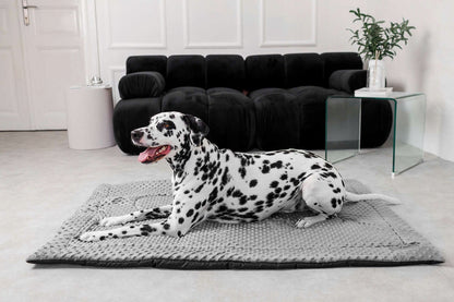 Welsti Mata dla psa 100 x 70 cm z pluszu minky – legowisko dla dużego psa, szara