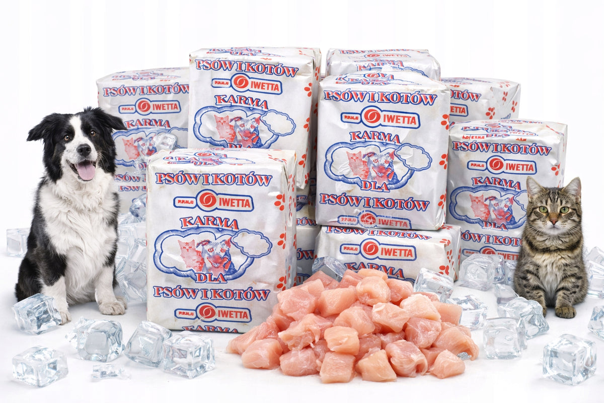 Mrożone mięso drobiowe dla psa BARF 10 kg – 40 kostek po 250 g, 100% mięsa, bez zbóż