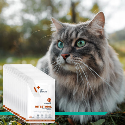 Vet Expert Intestinal mokra karma weterynaryjna dla kota 12x100 g – kurczak i wołowina