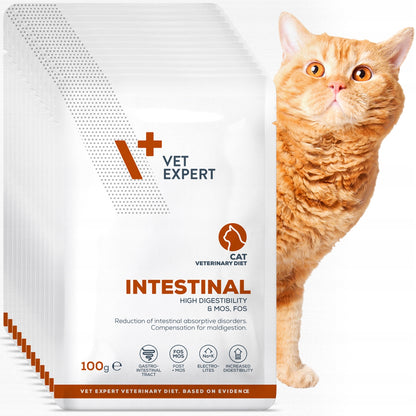 Vet Expert Intestinal mokra karma weterynaryjna dla kota 12x100 g – kurczak i wołowina