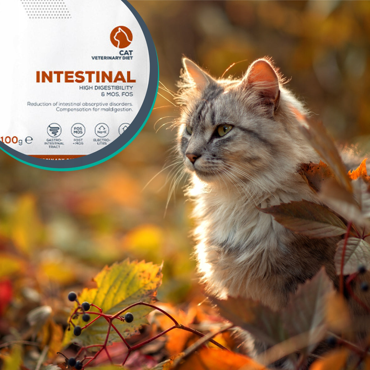 Vet Expert Intestinal mokra karma weterynaryjna dla kota 12x100 g – kurczak i wołowina