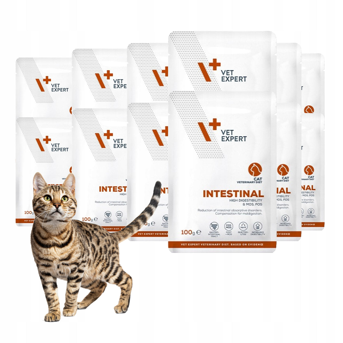 Vet Expert Intestinal mokra karma weterynaryjna dla kota 12x100 g – kurczak i wołowina