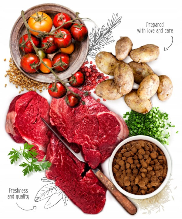 Feringa Mokra karma dla kociąt Classic Kitten Meat Menü 6 x 200 g bezzbożowa – mix smaków