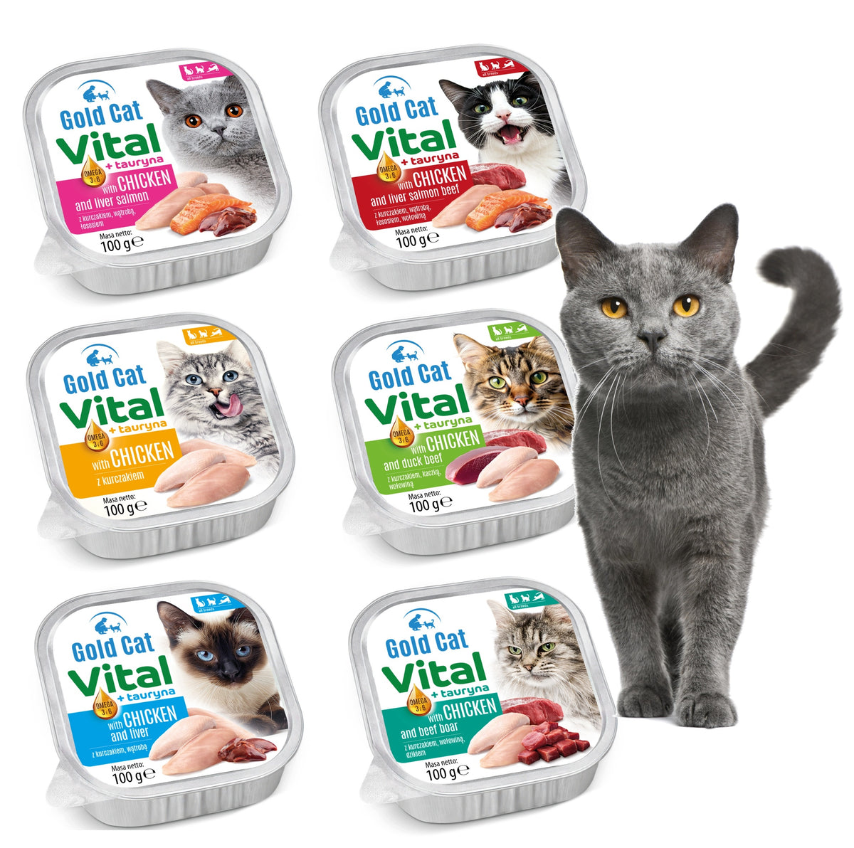 Gold Dog Mokra karma dla kota Gold Cat Vital 30 x 100 g pasztet – mix 6 smaków