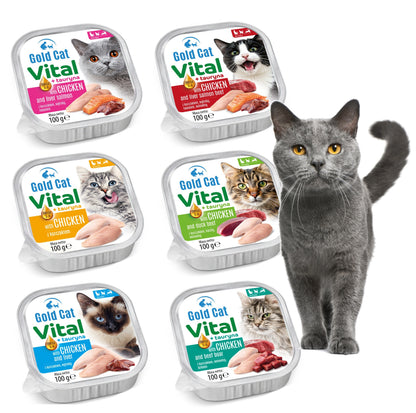 Gold Dog Mokra karma dla kota Gold Cat Vital 30 x 100 g pasztet – mix 6 smaków